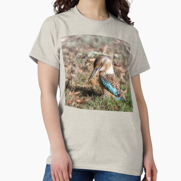 Vista previa del artículo con la obra «Kingfisher de alas azules Kookaburra en el suelo en Katherine, Australia», diseñado y vendido por Danielasphotos.