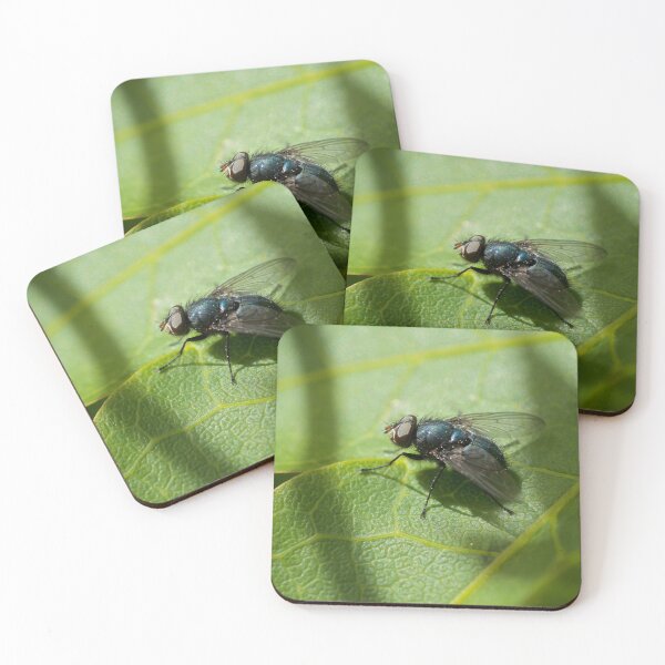 Item preview, Green Bottle Fly designed and sold by D-GaP.