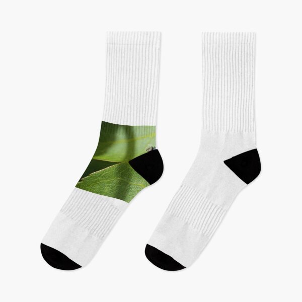 Item preview, Green Bottle Fly designed and sold by D-GaP.