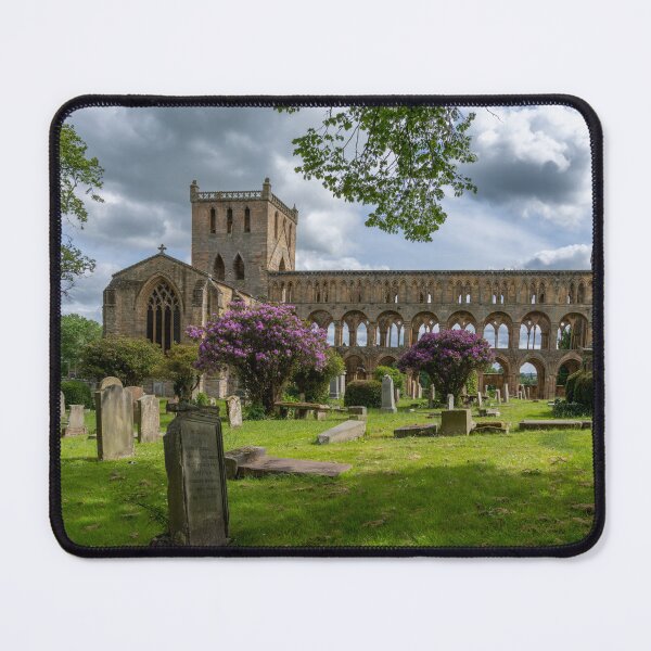 Item preview, Jedburgh Abbey designed and sold by DiFigianoPhoto.