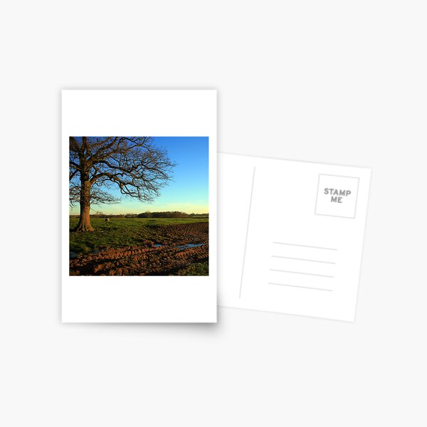 www.lizgarnett.com ... Brabourne in March, Kent, England Postcard