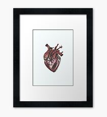 Human Heart Framed Print