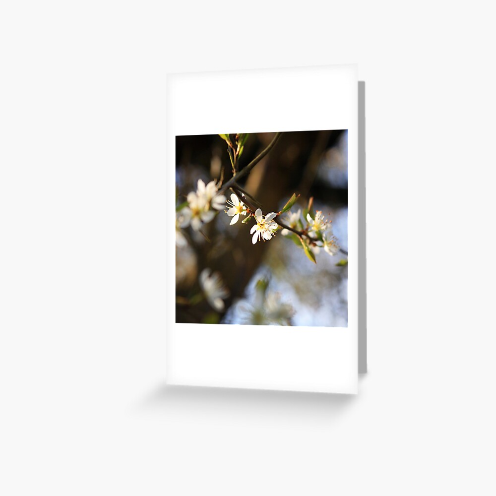 Item preview, Greeting Card designed and sold by lizgarnett.