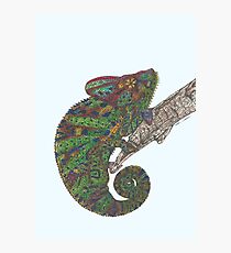 Chameleon Photographic Print