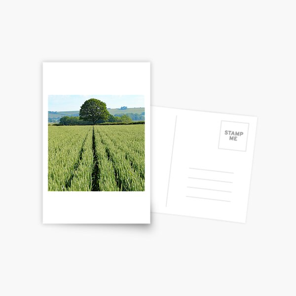 Jun - Brabourne - www.lizgarnett.com Postcard