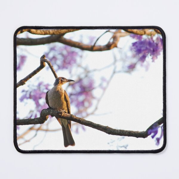 Item preview, Grey bird & Jacaranda. designed and sold by Penny Kittel.
