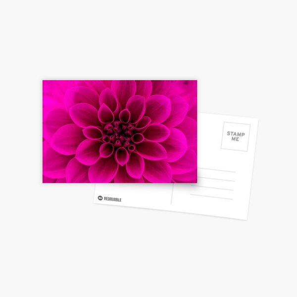 Item preview, Alotta Pink designed and sold by John Velocci.
