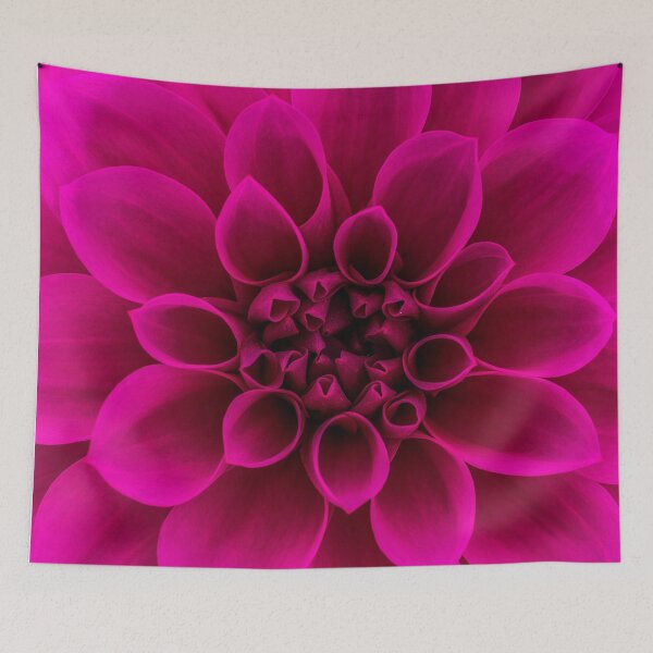 Item preview, Alotta Pink designed and sold by John Velocci.