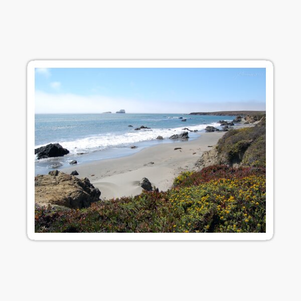 Going Coastal Sticker