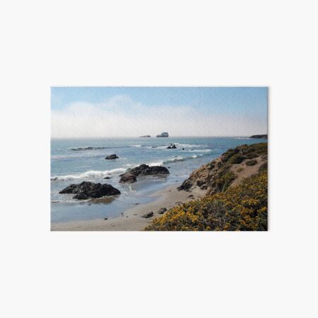 Fog Rolling Coastal Art Board Print