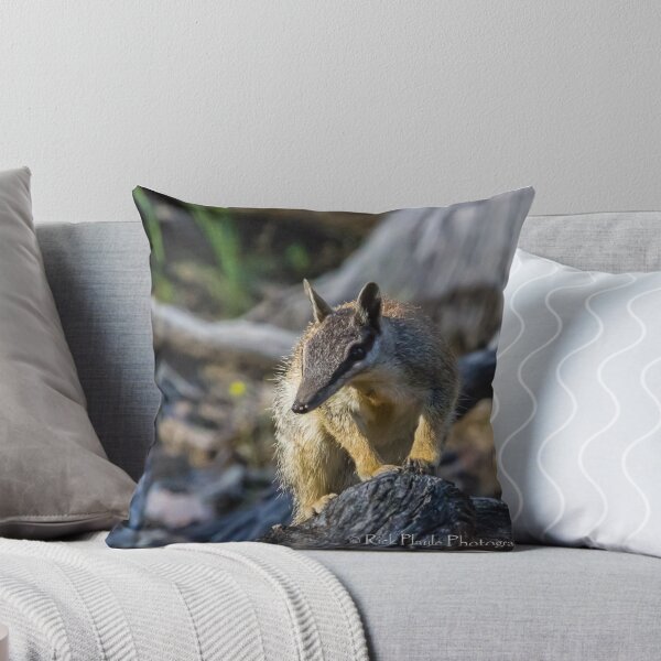 Item preview, Numbat-5 designed and sold by Rick Playle.