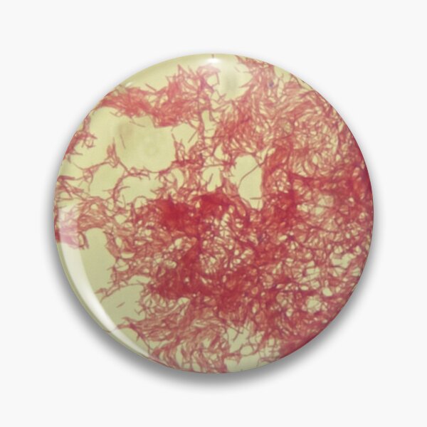 Item preview, gram stain designed and sold by dinosaurflower.