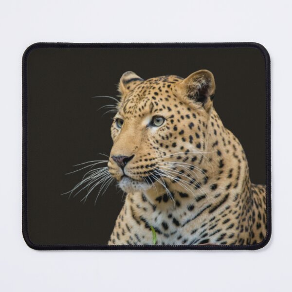 Item preview, cute tiger bloody-beast scary Halloween designed and sold by Alaa_marketing_2022.