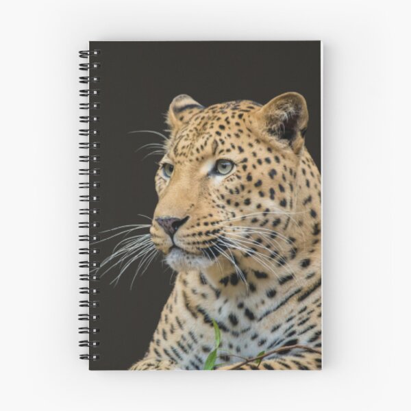Item preview, cute tiger bloody-beast scary Halloween  designed and sold by Alaa_marketing_2022.