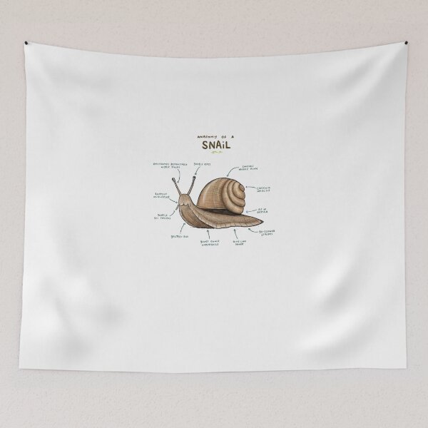 Item preview, Anatomía de un caracol designed and sold by AlbertKris.
