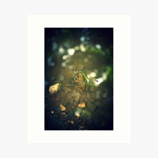  Art Print