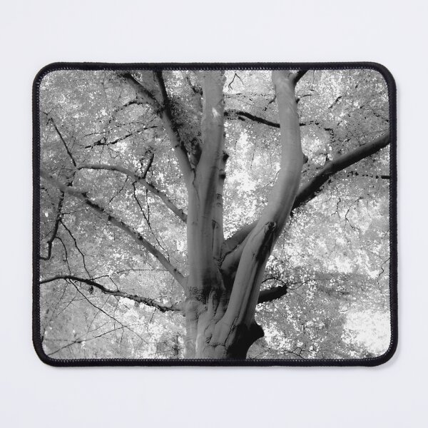 Item preview, Inosculated beech designed and sold by Arc1.