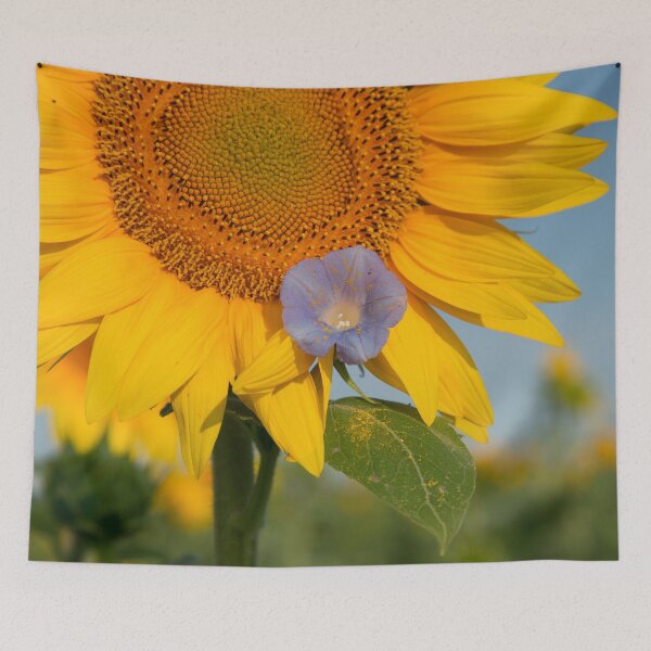 Item preview, Sunflowers V designed and sold by HiddenRockRanch.