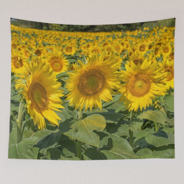 Item preview, Sunflowers XV designed and sold by HiddenRockRanch.