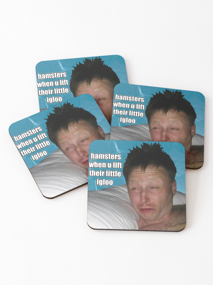 Meme Gaming Coasters: Coasters