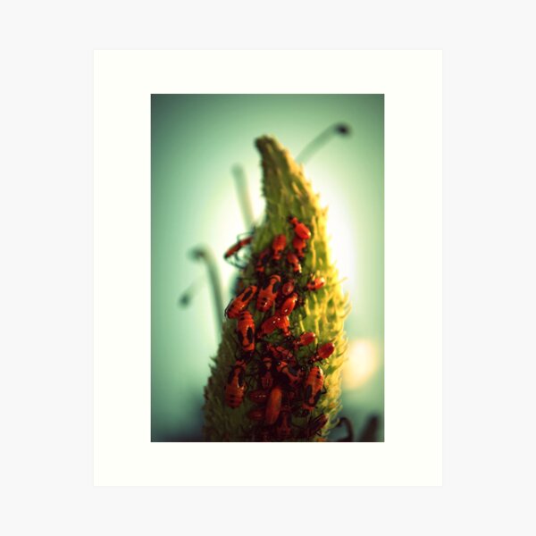  Art Print