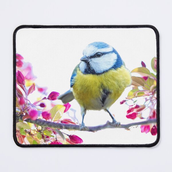 Item preview, Eurasian Blue Tit, A Chickadee, A Blue Tit Bird, Tweeti Birds in Summer designed and sold by DiensDesign.