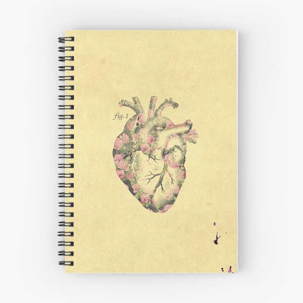 Item preview, Hearth anatomy designed and sold by Vaidesk.