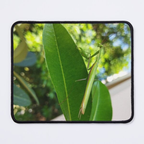 Item preview, Praying Mantis Looking At You designed and sold by kifayat22.