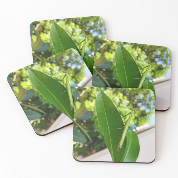 Item preview, Praying Mantis Looking At You designed and sold by kifayat22.