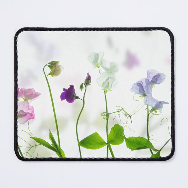 Item preview, Sweet Peas designed and sold by Nethycurl.