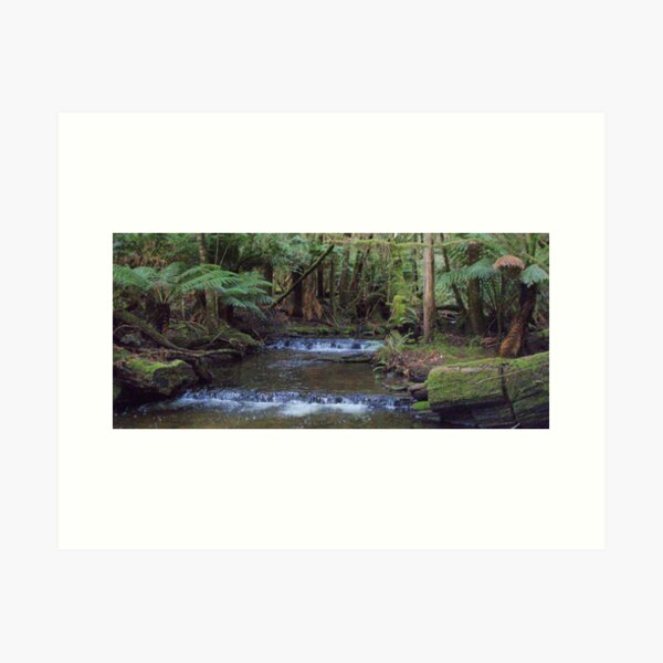 Item preview, creek at Russell Falls, Tasmania designed and sold by Gaylene Norton.