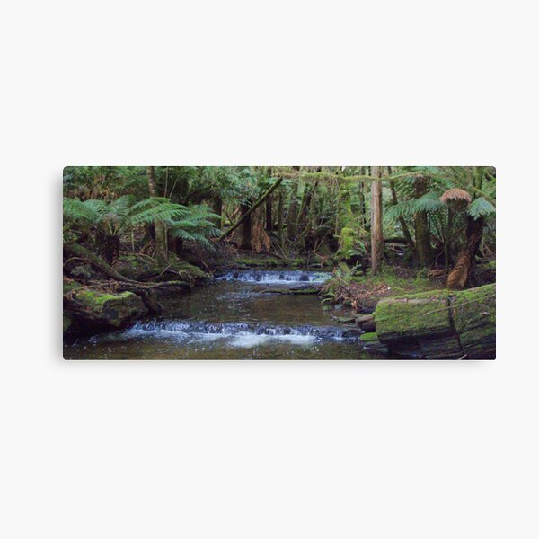 Item preview, creek at Russell Falls, Tasmania designed and sold by Gaylene Norton.