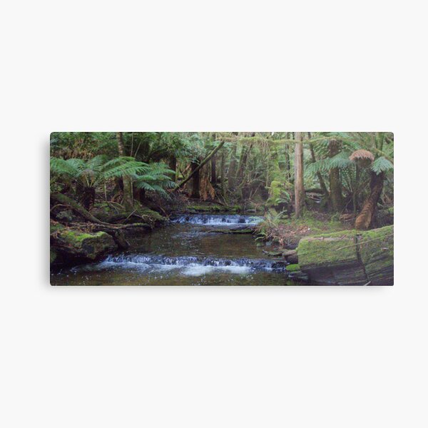 creek at Russell Falls, Tasmania Metal Print