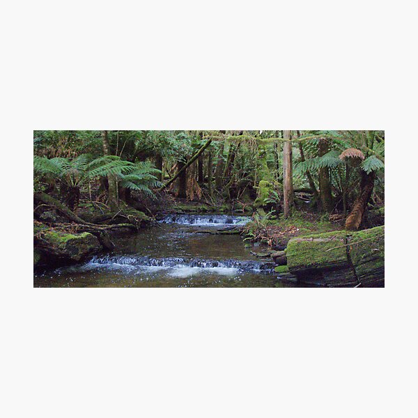 Item preview, creek at Russell Falls, Tasmania designed and sold by Gaylene Norton.