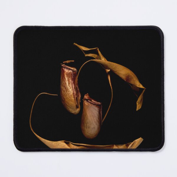 Item preview, Golden Pitcher Plants designed and sold by Nethycurl.