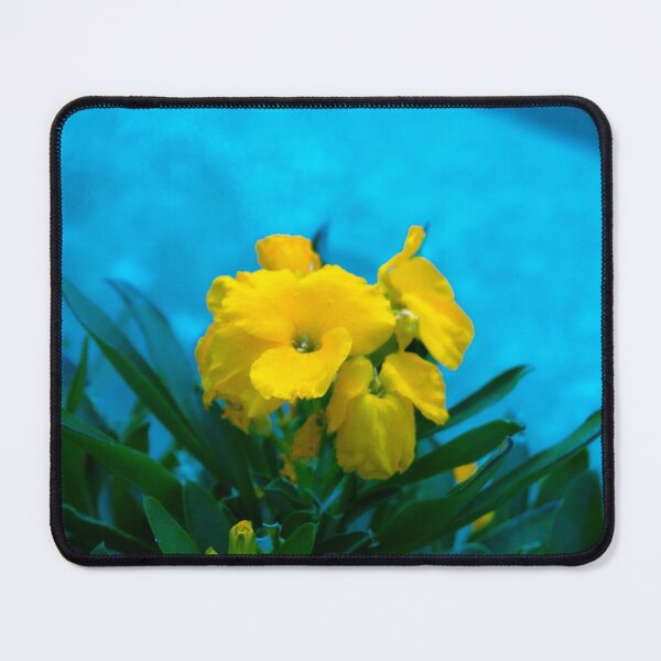 Item preview, yellow flowers designed and sold by Francespoppy.