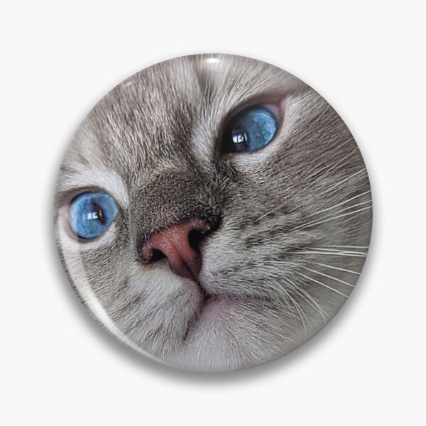 Item preview, Copy of Copy of Lynx ragdoll kitten designed and sold by Fluffycat2020.