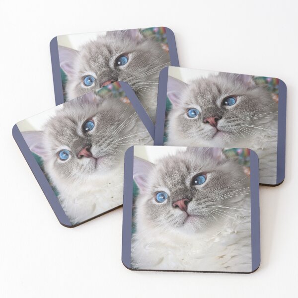 Item preview, Copy of Copy of Lynx ragdoll kitten designed and sold by Fluffycat2020.