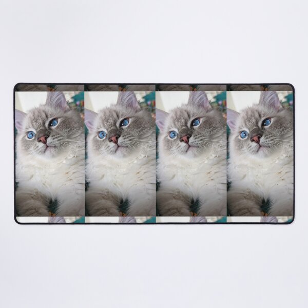 Item preview, Copy of Copy of Lynx ragdoll kitten designed and sold by Fluffycat2020.