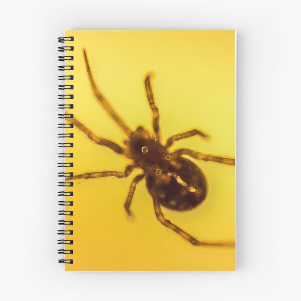 Item preview, spider 2 designed and sold by John Velocci.
