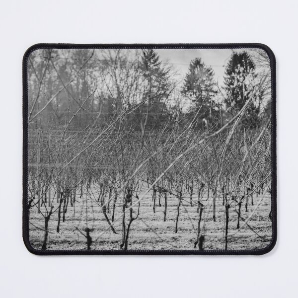 Item preview, Winter Vines designed and sold by Arc1.