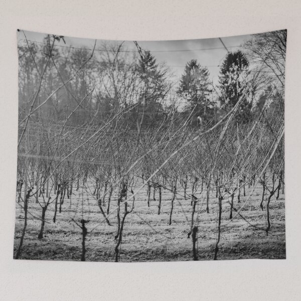 Item preview, Winter Vines designed and sold by Arc1.