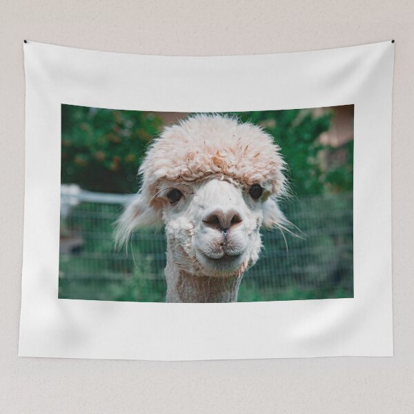 Item preview, Alpaca designed and sold by wklize.