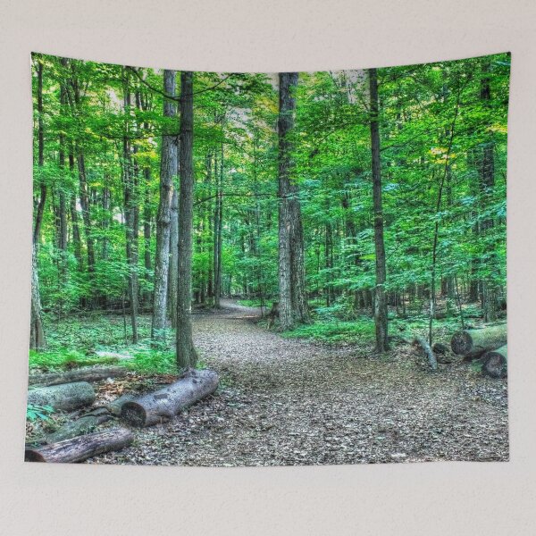 Item preview, Forest 3 designed and sold by John Velocci.