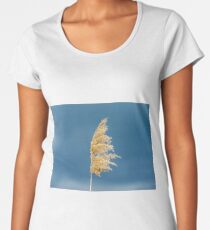 Beautiful dry spikelets on the sun, summertime, Belgium Women's Premium T-Shirt