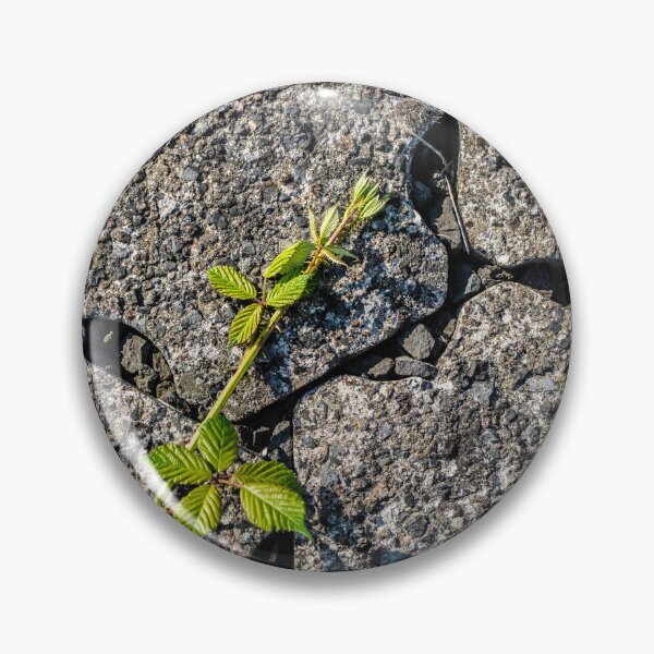 Item preview, Brambles 2 designed and sold by Arc1.