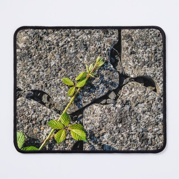 Item preview, Brambles 2 designed and sold by Arc1.