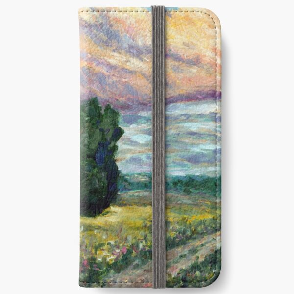 Road to Vzgliadnevo iPhone Wallet