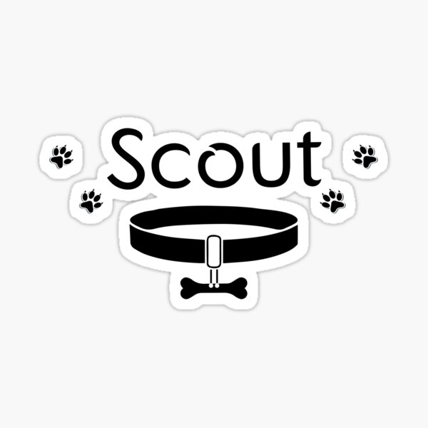 "SCOUT Pet's Name My girl dog name is SCOUT SCOUT dog's Name