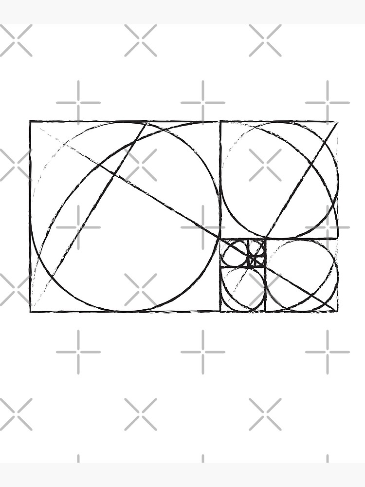 "Golden Ratio Spiral Fibonacci Sequence Circles and Squares Sketch